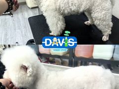 -汪小喵宠物·戴维斯乐芳希施宠馨宝皮毛调理洗护店