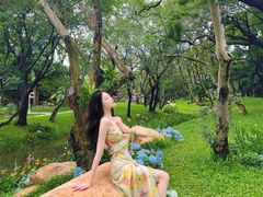 -人民公园(罗湖区)