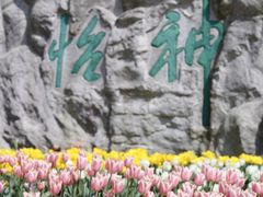 -上海鲜花港