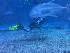 -华夏文旅西安度假区