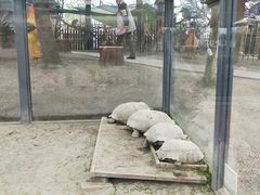 -国色天乡三期陆地乐园