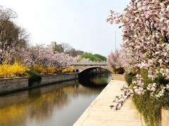 -海棠花溪(元大都城垣遗址公园)