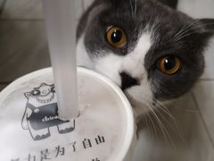 -茶力的小怪兽(梅林卓悦汇店)