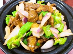 -星月美食城