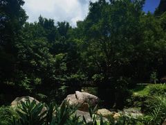 -雁南飞茶田景区
