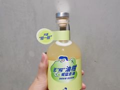 双榨杨桃油柑-喜茶(广州东方宝泰店)