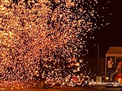 -哈尔滨文化公园