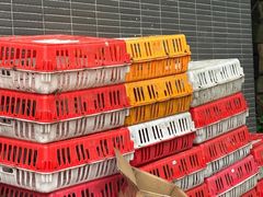 -金水泊山庄·花椒鸡(铁山坪店)
