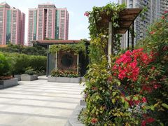 -御彩酒家(东风东路店)