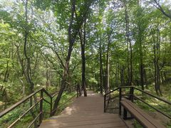 -沂蒙山旅游区云蒙景区(蒙山国家森林公园)