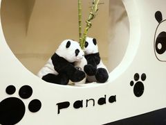 -熊猫川菜馆 panda chine