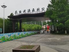 -黄海国家森林公园