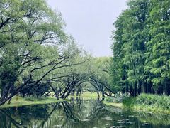 -上海共青森林公园