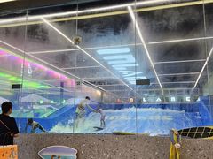 -INLANG饮浪室内冲浪(苏河湾万象天地店)