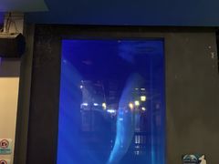-大连圣亚海洋世界