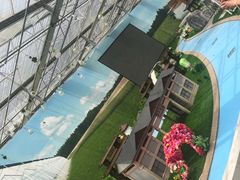 -上海都市菜园