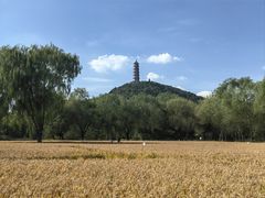 -北坞公园