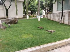 -西昌邛海宾馆