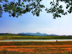 -光明小镇欢乐田园