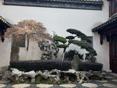 -檀园