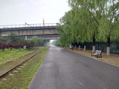 -永定河休闲森林公园