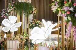 -保定金沙芝柏婚礼策划