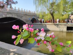 -海棠花溪(元大都城垣遗址公园)