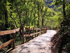 -大岭沟猕猴桃谷风景区