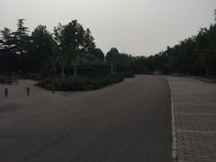 -漂洋体育·游泳馆·游泳培训(中石化会议中心馆)