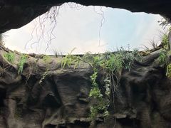 -陕西自然博物馆