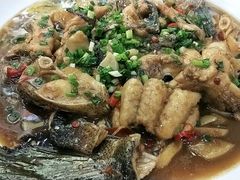 -全乐鱼馆·淳牌有机鱼直营店