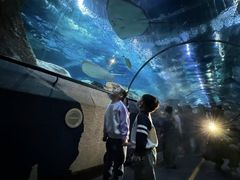 -大连圣亚海洋世界