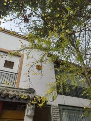 点击看大图 -莲生母婴月子中心(清水河公园店)