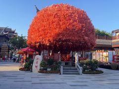 -芜湖方特水上乐园