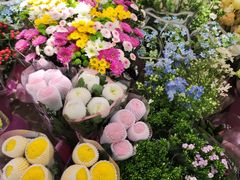 -宝鸡东道花鸟鱼虫市场(吉利花园商场店)