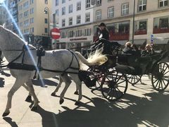-斯蒂芬主教座堂(Stephansdom)