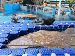 -海合安成都极地海洋公园