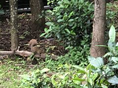 -苍山感通索道