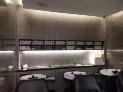 -T8 SALON