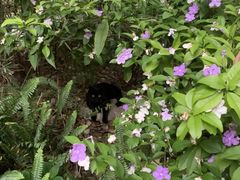 -成都市活水公园