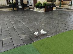 -华谊兄弟（长沙）电影小镇