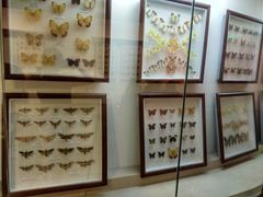 -陕西自然博物馆