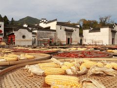 -塔川景区