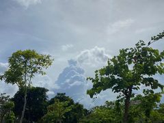 -中山大学附属第五医院