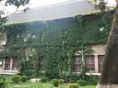 -山东大学(趵突泉校区)