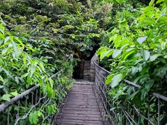 -天门沟九州驿站树上汤泉