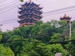 -黄鹤楼公园(黄鹤楼)