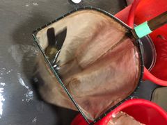 -生态苑农庄(十里画廊遇龙河店)