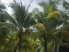 -100蛋泥浆浴