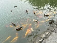 -中国农业博物馆